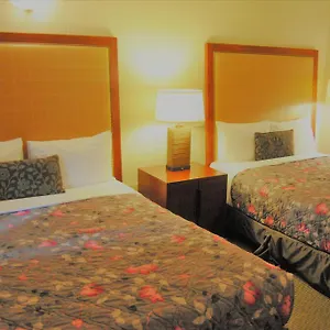 https://derrick-motel.edmonton-hotels.net